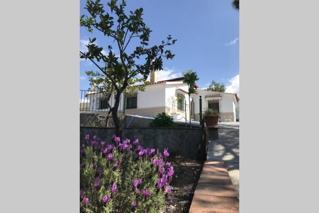 Casa Dimas Villa Cómpeta Kültér fotó